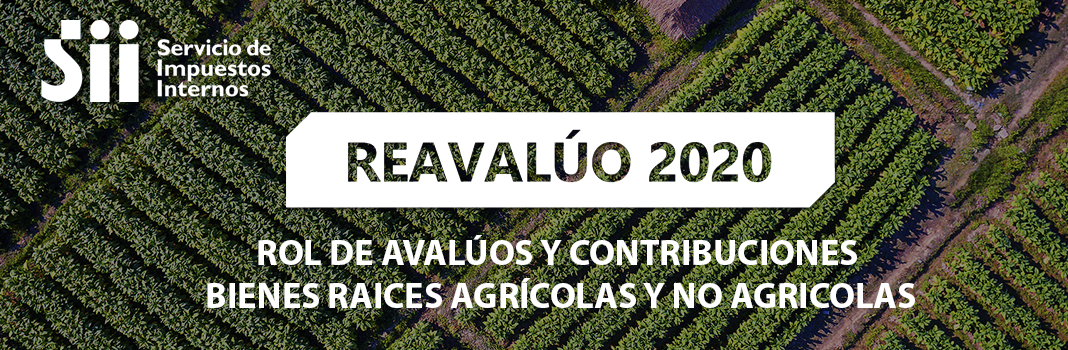 reavaluo2020